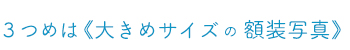 大きめサイズ