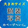 大きめサイズの額装写真のページへ。