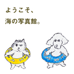 海の写真館2021夏。